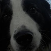 Rhonda Teris's photo