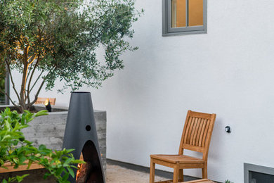 Mid-sized trendy backyard decomposed granite patio photo in Los Angeles with a fire pit and no cover