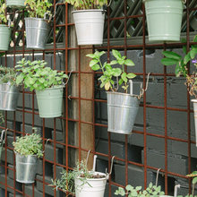 Trellis