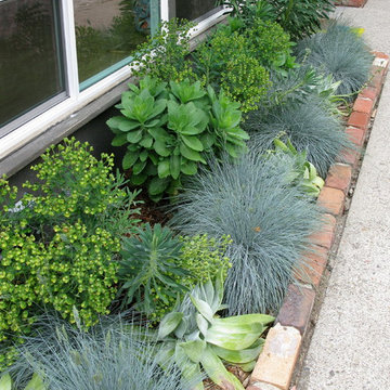 Ultra Low Water Garden