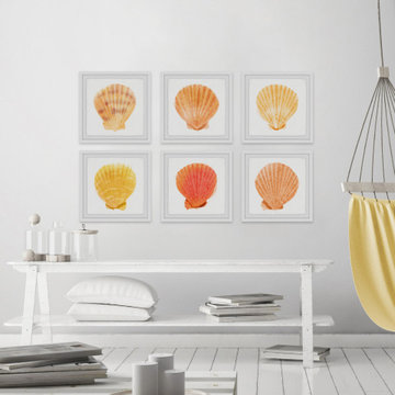 Sea Shells Wonder II Hexaptych