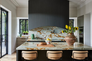 Design ideas for a contemporary kitchen in Sydney.