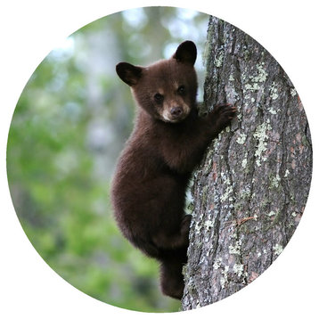 Andreas Bear Single Tree Trivet, 8" Round