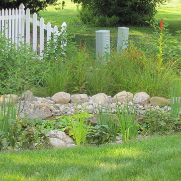 Pond and Rain Garden