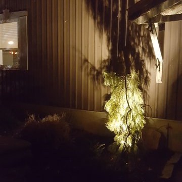 Dragonfly Outdoor Lighting