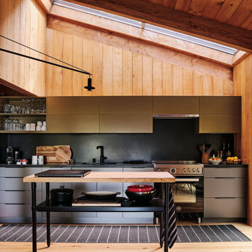 Sea Ranch Renovation