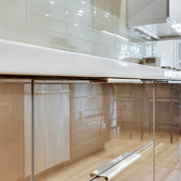 Contemporary Bronze Kitchen Design Washington, DC