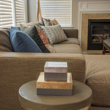 Family Room + Living Space