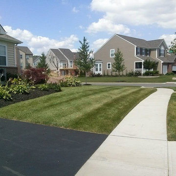 Full Service Lawn care