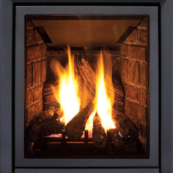 Enviro Q1 Gas Fireplace / Fireplace Insert - Products
