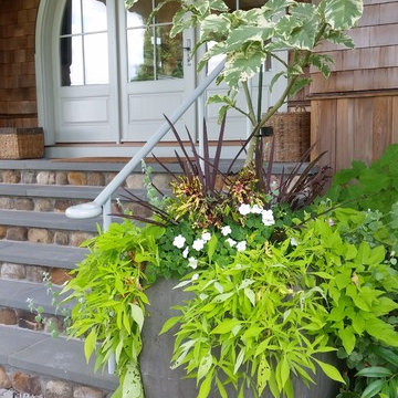 Planters & WIndow Boxes