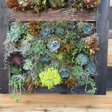 Del Mar Fairgrounds 2016 Exhibit - Garden of Wonder First Place