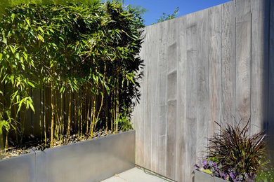 Patio - small contemporary courtyard concrete paver patio idea in Boston with no cover