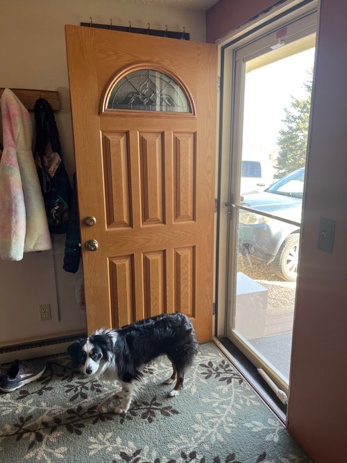 Stair treads different color than floor plus trim and banister help!!!