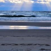 Andrea Emery's photo