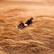 Luis Angel's photo