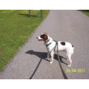 Cathy Sizemore's photo