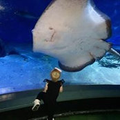 Cammy McGregor's photo