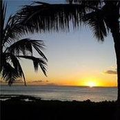 Kathy Williamsen's photo