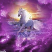 Diane Graves's photo
