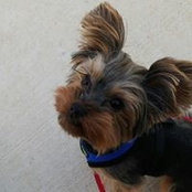 Timothy Wong's photo