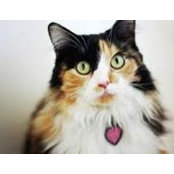 Becky Valenzuela's photo