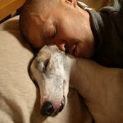 Ken Shimakage's photo