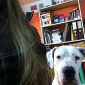 Jen Paez's photo