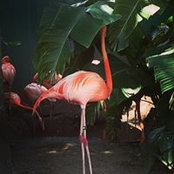 Dana Bader's photo