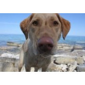 Walter Popiel's photo