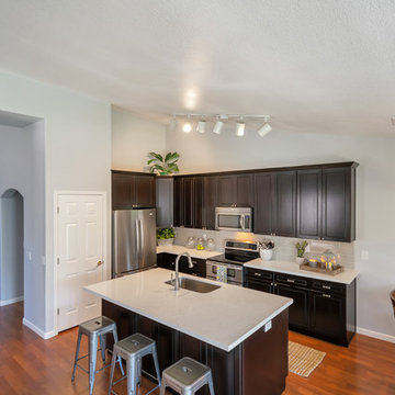 Kitchen Remodel (Curry)
