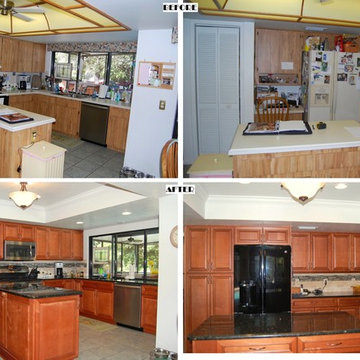 Lumidome Kitchen Remodel