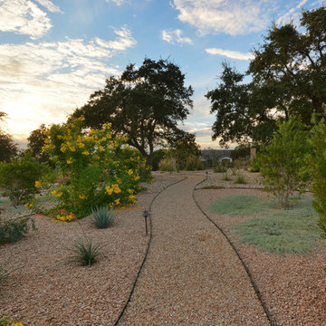 Austin Xeriscape