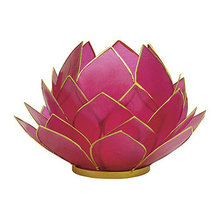 Guest Picks: Pretty in Spring Pink