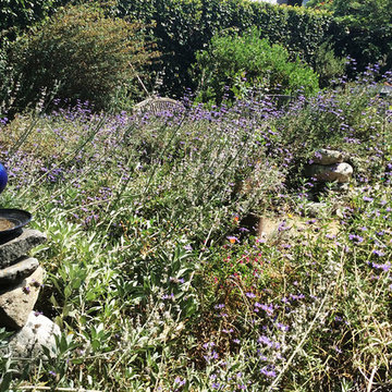 2017 Native Plant Garden Tour