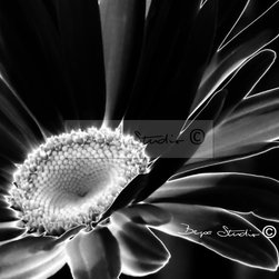 "Quieting the Soul" - black by Bepa Studio - Products