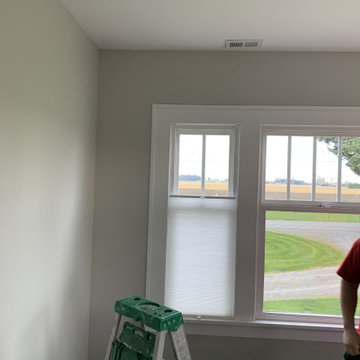 Customer Photos of Installed Pleated Blinds and Honeycomb Shades