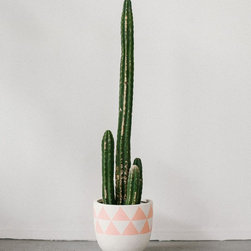 Peach Aztec Pot | Pop & Scott - Indoor Pots And Planters