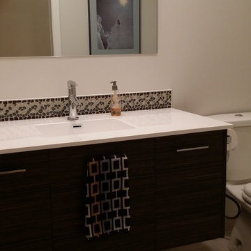 Modern Bathroom - Flat Specialty Melamine Doors with Horizontal Grain