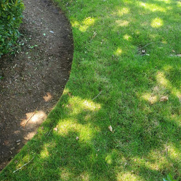 Our Landscapes