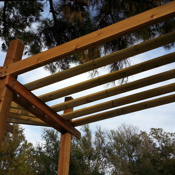 Dunn Treehouse