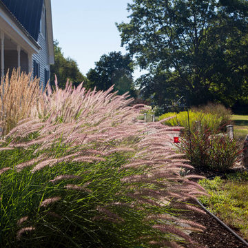 Dry stream Front Walkway