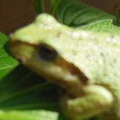 Cathy Kowalski's photo