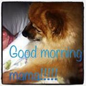 Karen Antley Thigpen's photo