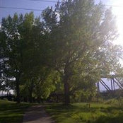 Foto von Dennise Smith