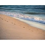 Alba Trevisiol's photo