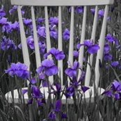 Michelle Hirschi's photo