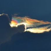 Ann Burkhammer's photo