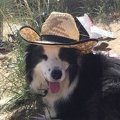 Diane Davies's photo