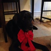 Laura Kiluk's photo